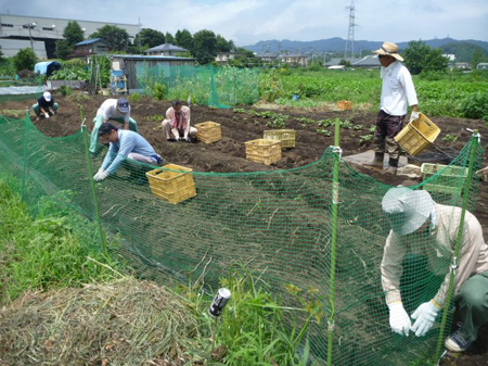 共同
