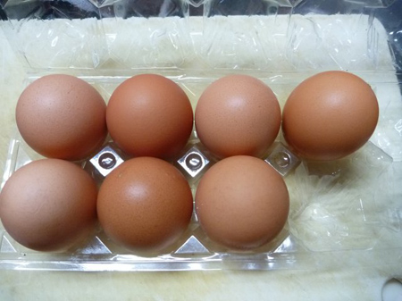もみじ