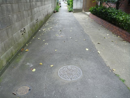 掃き清め