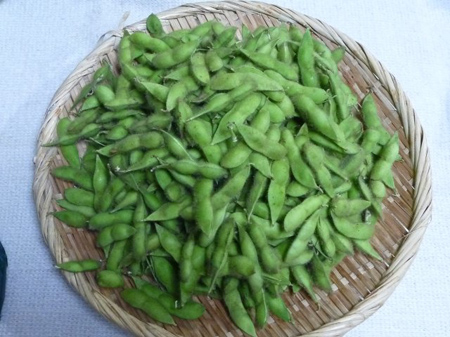 久井在来大豆