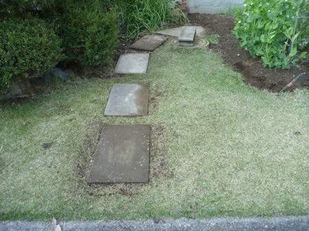しぶと草