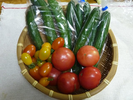 倍土と除草