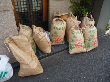 檜原村蕎麦畑(除草)