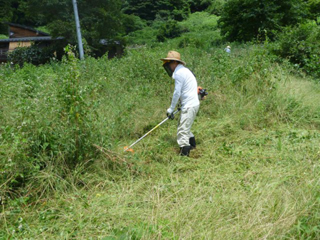 檜原村蕎麦畑(除草)
