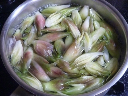 夏野菜茗荷