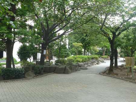 日本堤