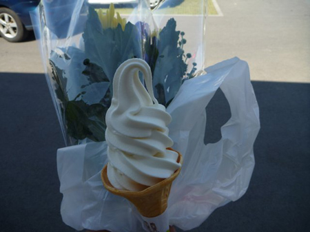 彼岸の花