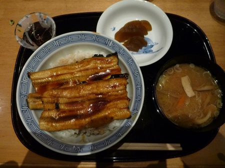 天然鰻に惹かれて