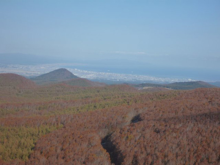 八甲田の霧氷