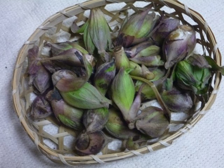 蕗