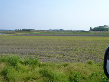 八峰町蕎麦交流
