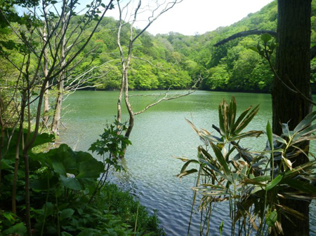 青森県十二湖