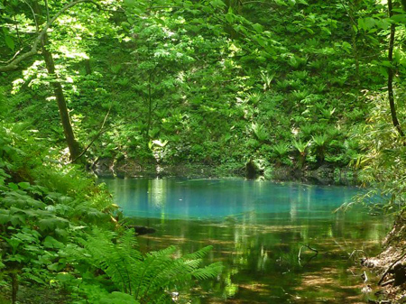 青森県十二湖