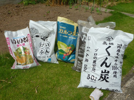 ラッキョの収穫