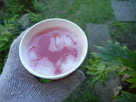 ニンジンを蒔く
