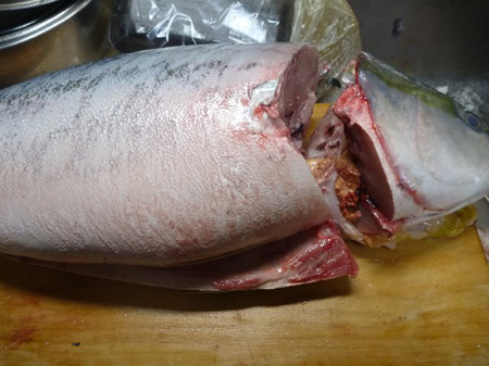 鰤を捌く
