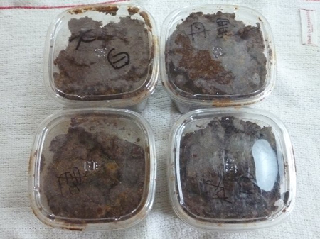 津久井大豆味噌仕込み(後編)