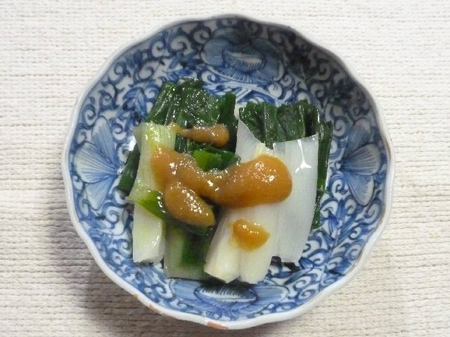 埼玉菜園(玉葱のワケギ)