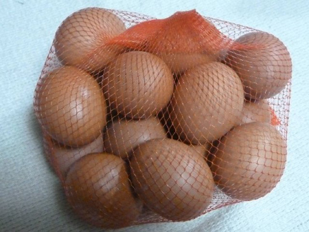 根小屋での手伝い