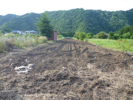 種蒔き