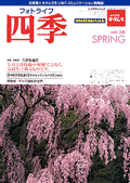 �t�H�g���C�t�l�G Vol.36