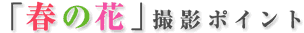 ���c���c�搶�u�F�Ƒ��`�̐��E�v