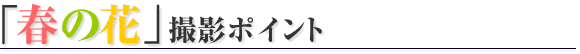 ���W �ʐ^�� ���c���c��
