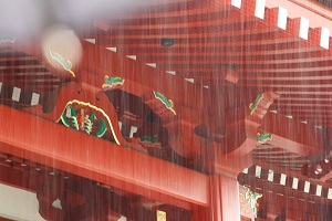 雨の情景