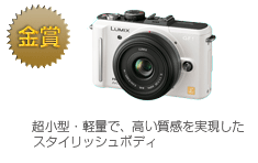 金賞　LUMIX DMC-GF1