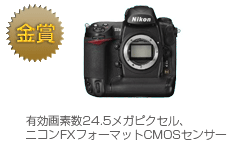 金賞　D3X