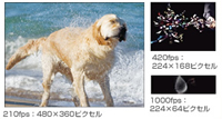 ハイスピードムービー