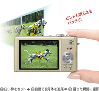追っかけフォーカス