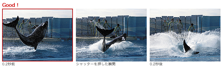 トリプルショット