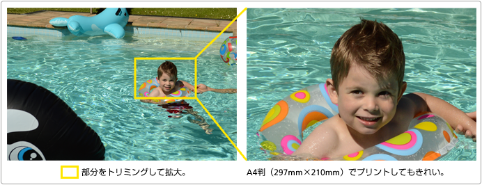 トリミングして大きくプリントしたいときでも、約2400万画素だからこんなにきれい。