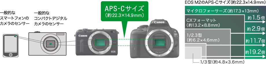 高度な表現を支える、大型CMOSセンサー。