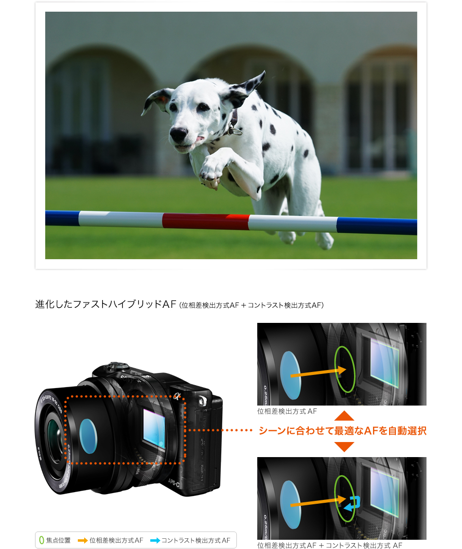 瞬時にとらえて離さない、進化したファストハイブリッドAF