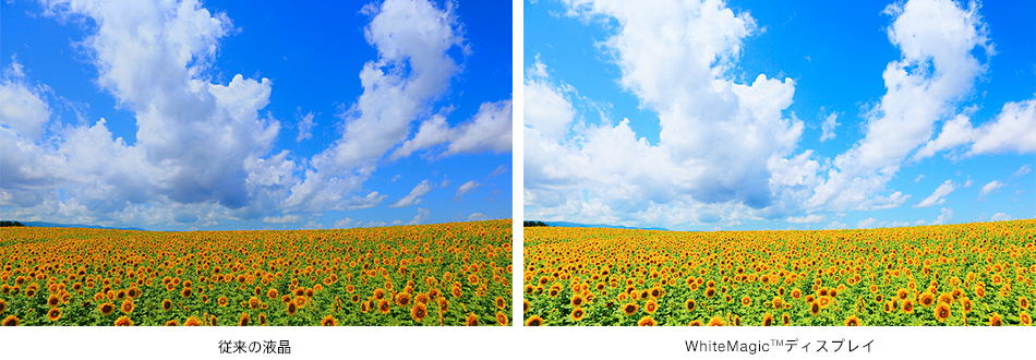 高精細「エクストラファイン液晶」に、WhiteMagic（TM）ディスプレイを採用