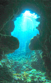 水中HDR