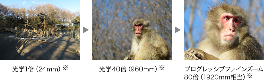新レンズ搭載でさらに進化を遂げた「光学40倍ズーム」「プログレッシブファインズーム80倍」