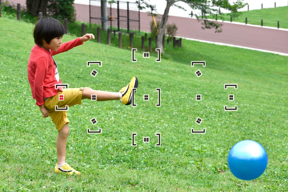 ピントを合わせたいものを確実につかまえる。11点のフォーカスポイント