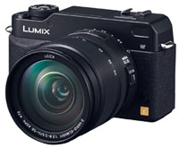 DMC-L1