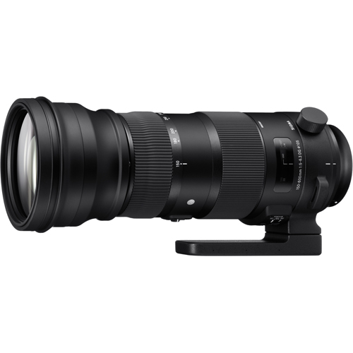 製品写真：シグマ 150-600mm F5-6.3 DG OS HSM ニコン用