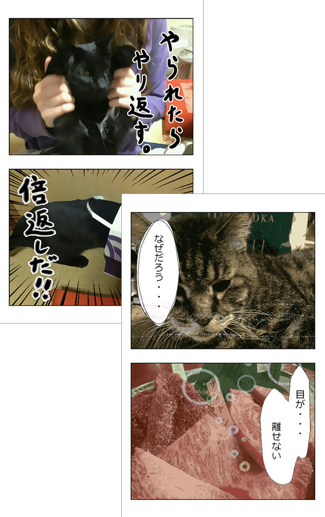 フレームと写真を選んで加工するだけで漫画ができました!
