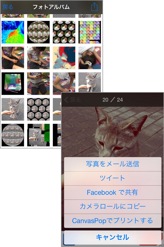 いろんな写真を撮影してどんどん共有しましょう!