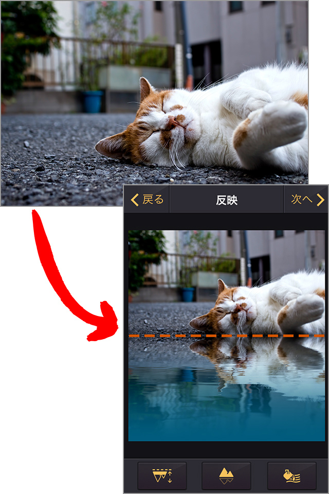 画面中央から下が水に映ったように見えます!