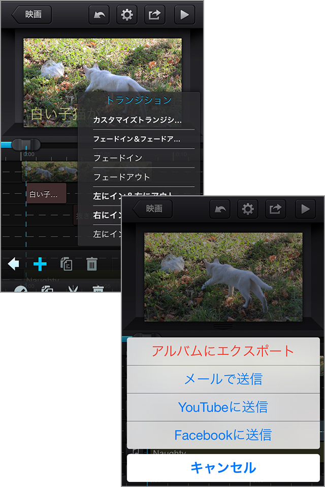 テロップとBGMを加えた楽しい動画ができました!