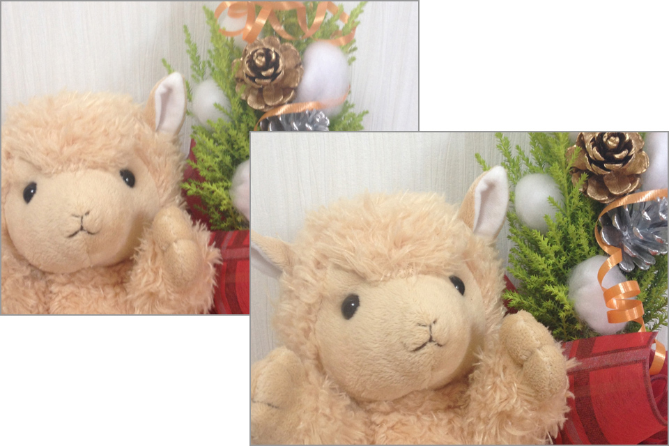 斜めに撮影しても水平の写真が撮れます!
