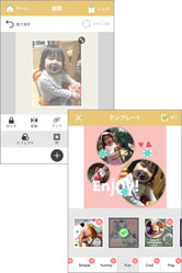 かわいいテンプレートがたくさん!