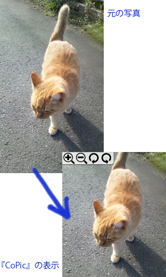 中央寄りに写っている写真を選ぶ