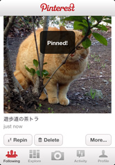 Pin！